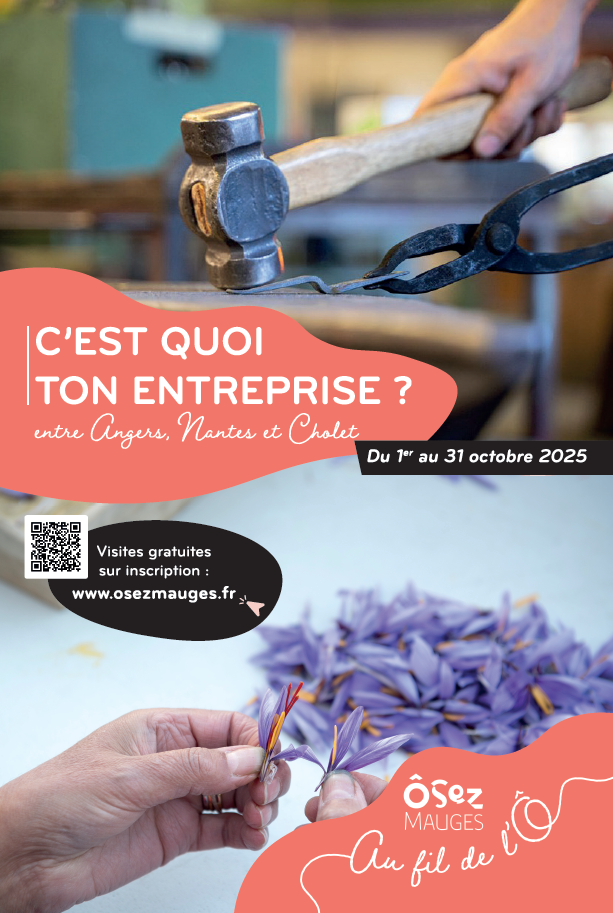 #cestquoitonentreprise,
mauges, visites entreprises
